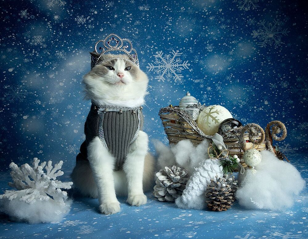 Матильда. Снегурочку - вызывали? Happy New Year!