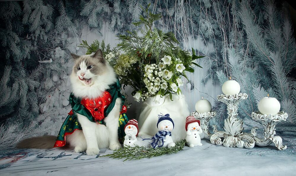 Матильда. Снегурочку - вызывали? Happy New Year!