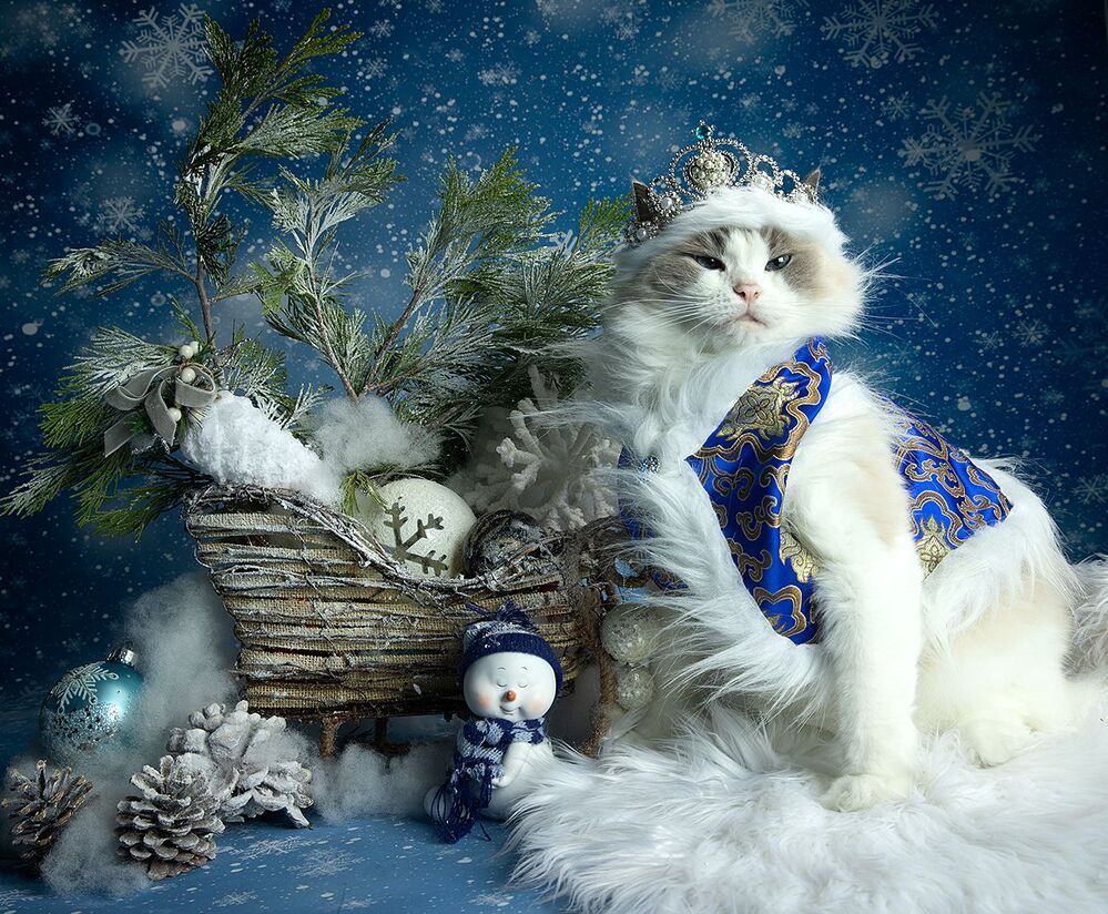 Матильда. Снегурочку - вызывали? Happy New Year!