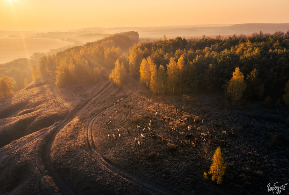 Ишутинское городище