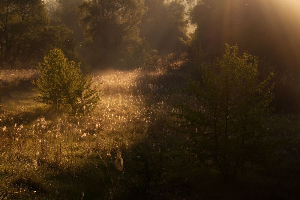 Photo 2075618
