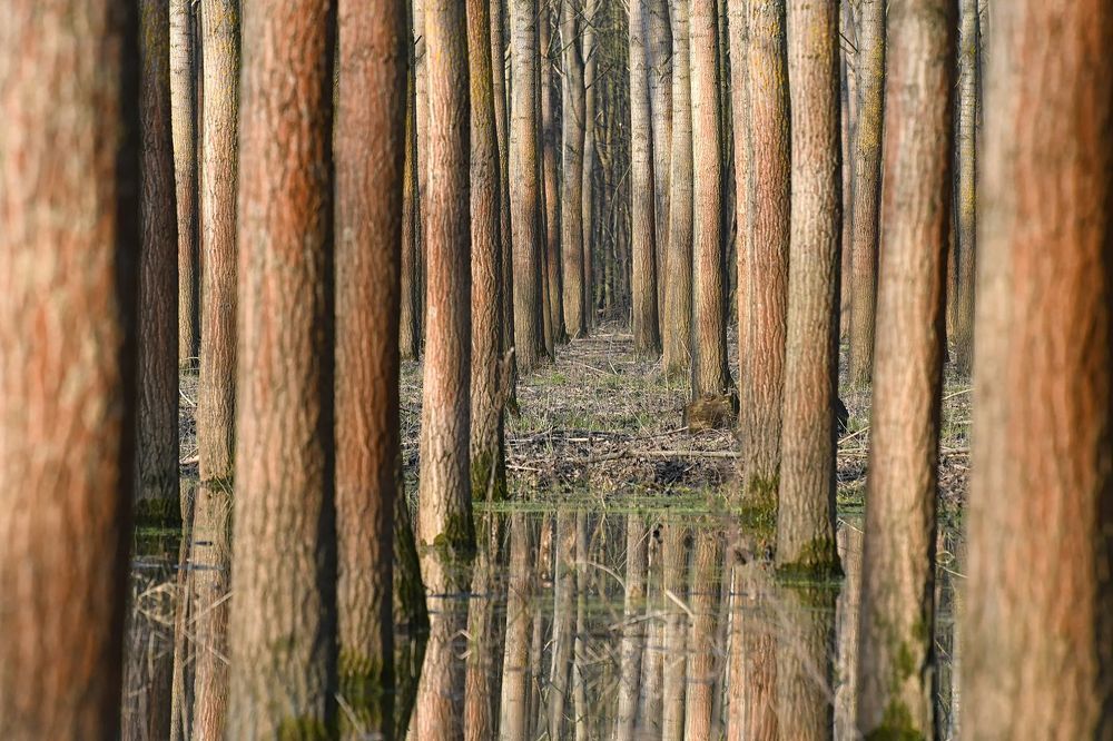 My photos of architecture, nature, wildlife...