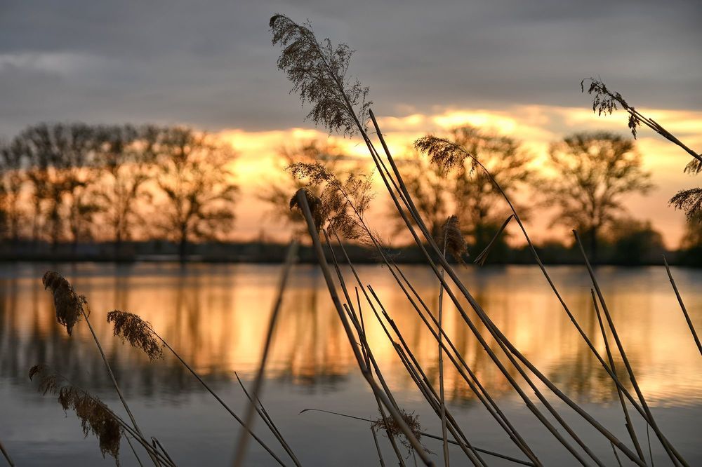 My photos of architecture, nature, wildlife...