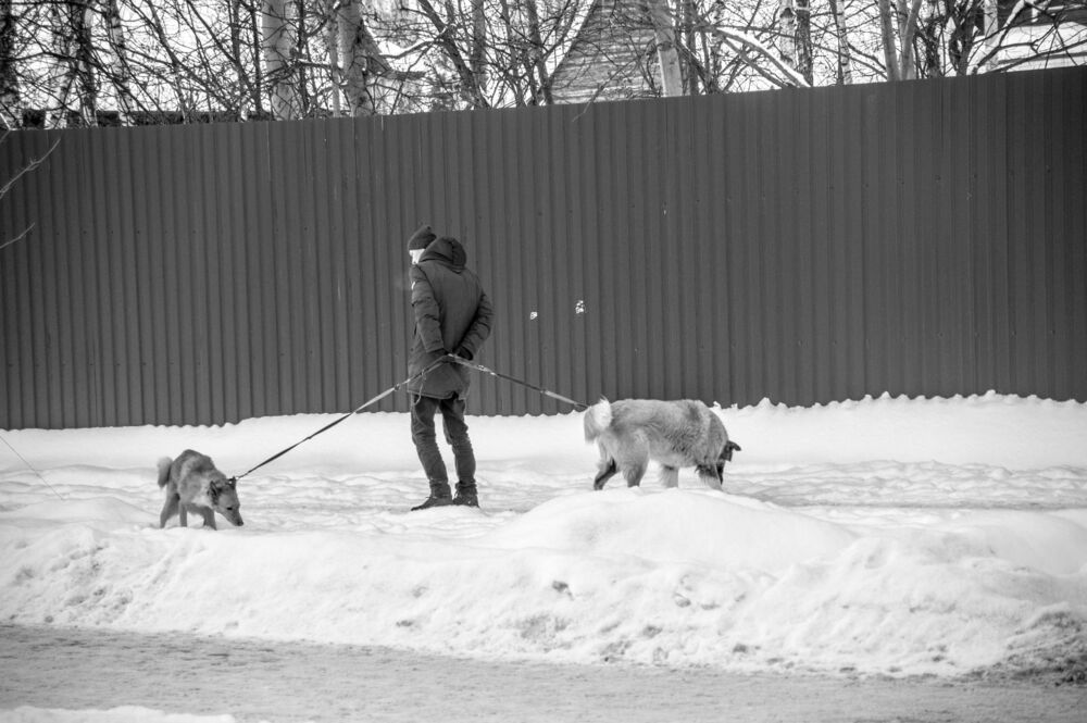 Город