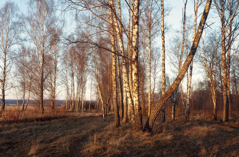 Последнее дыхание осени