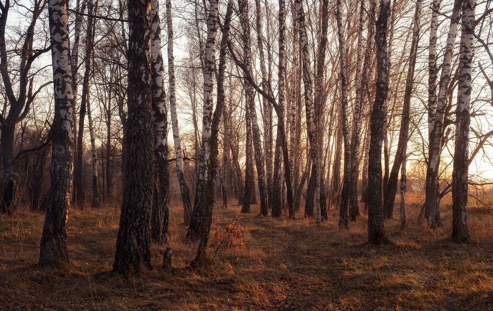 Последнее дыхание осени