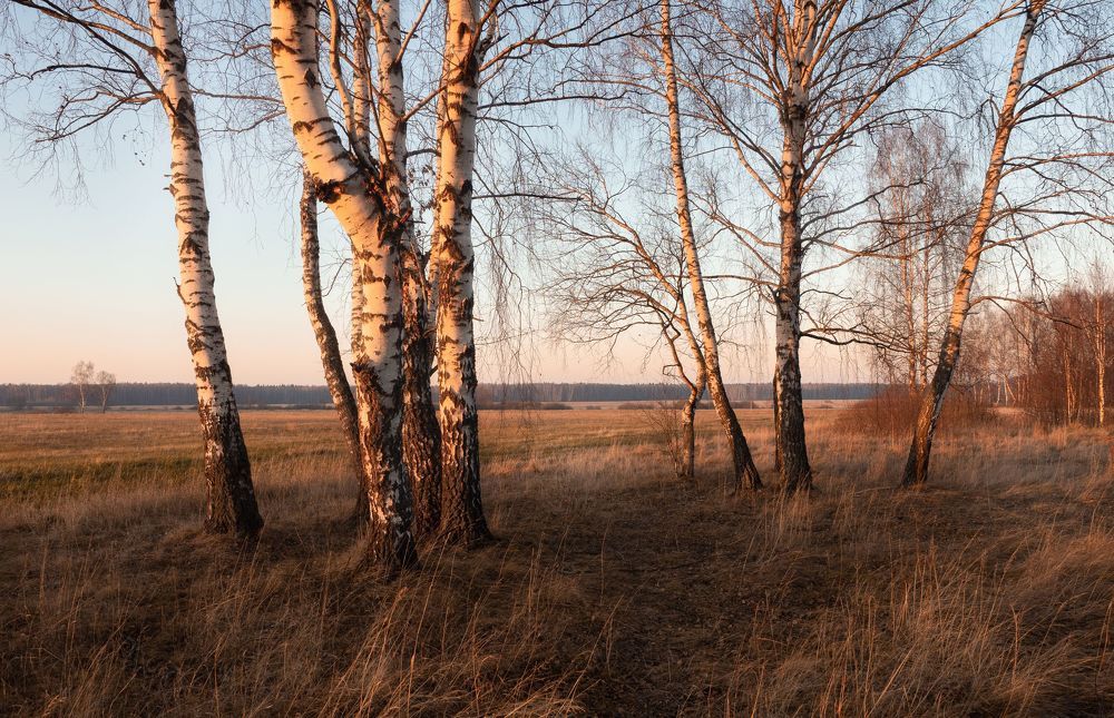 Последнее дыхание осени