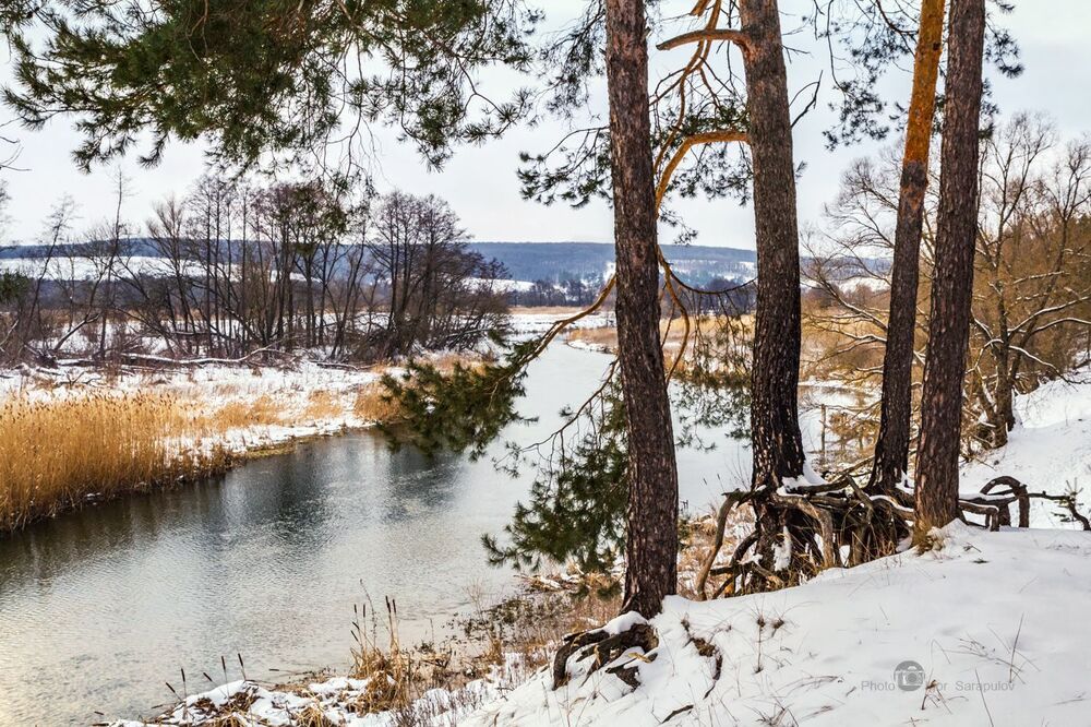 Зима на берегу Северского Донца. Canon EOS 60D