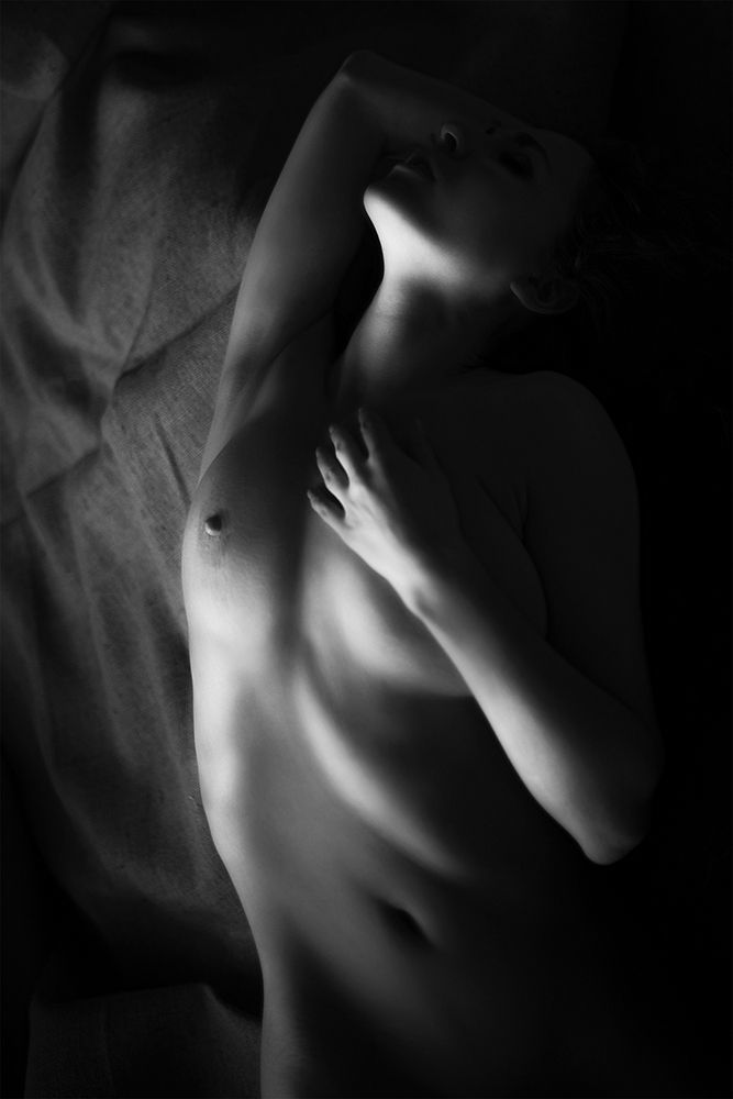 Photo 2079273