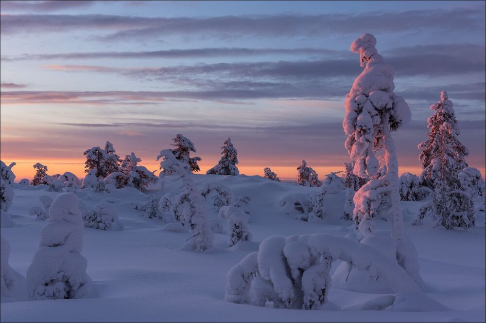 На горе, в последних лучах.