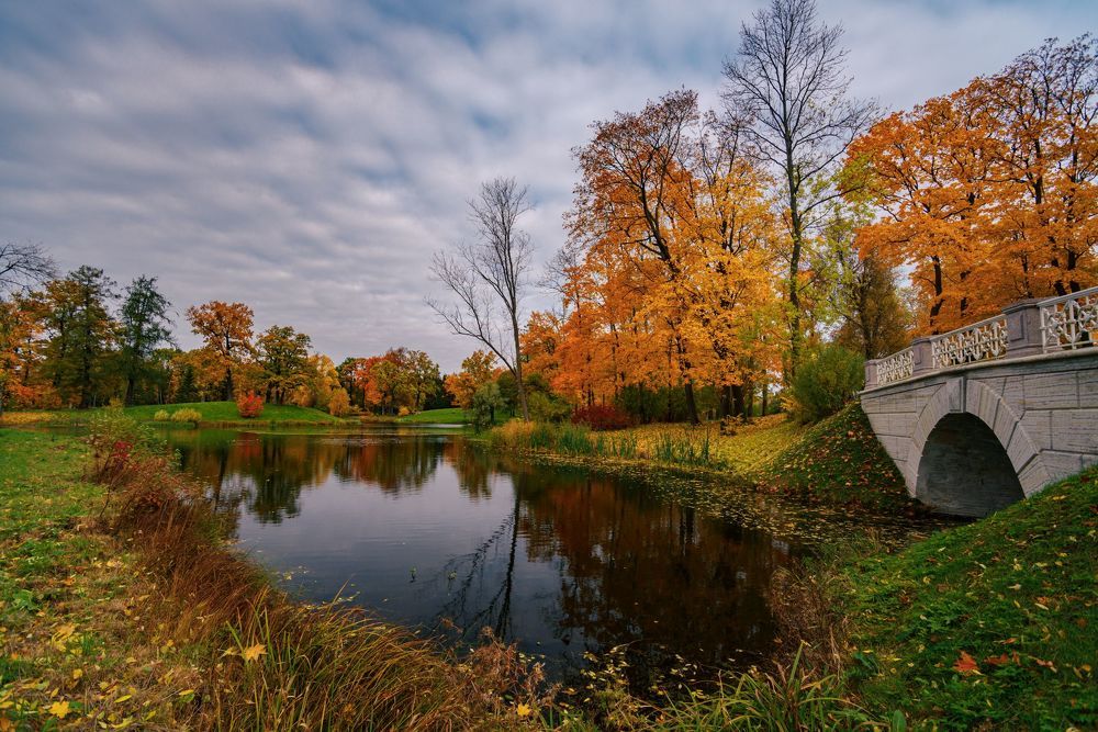 Царское село, Александровский парк