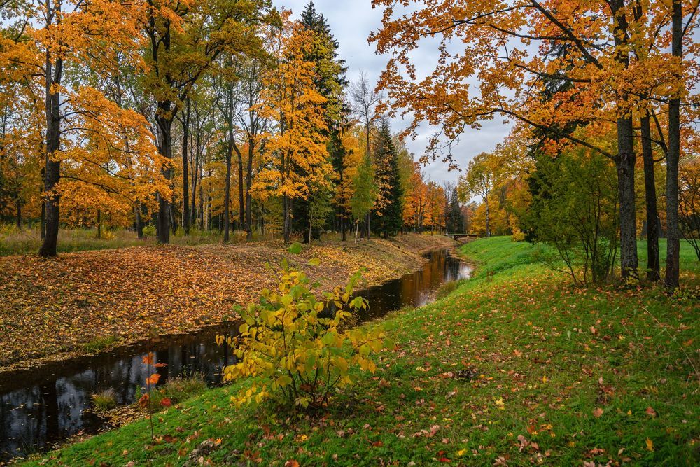 Царское село, Александровский парк