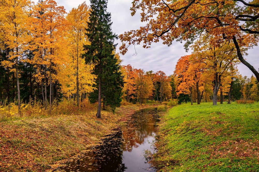 Царское село, Александровский парк
