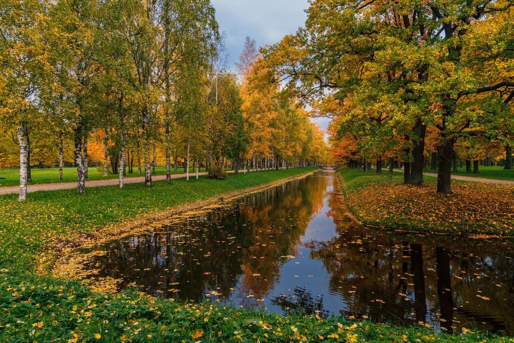 Царское село, Александровский парк