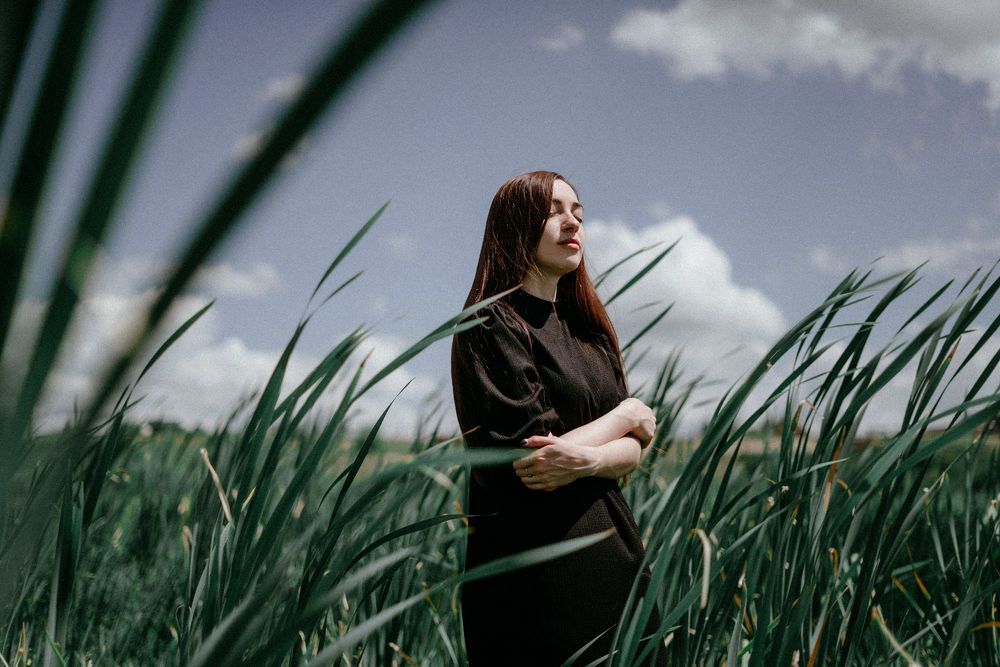 Cattail
