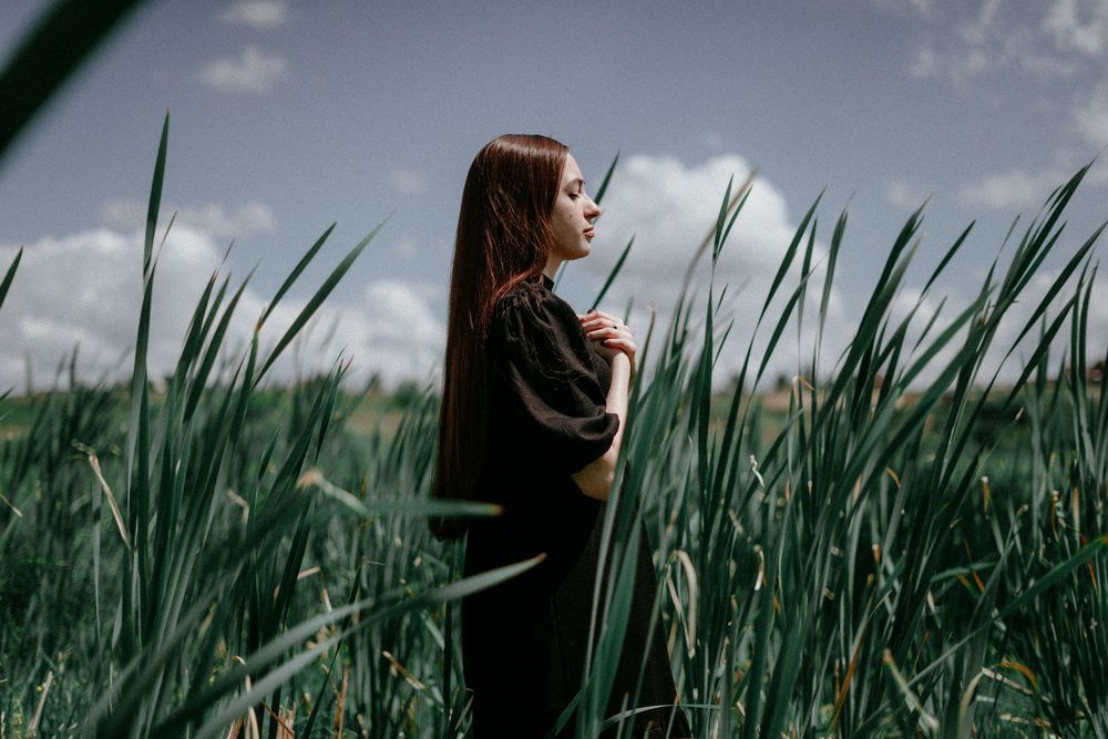 Cattail