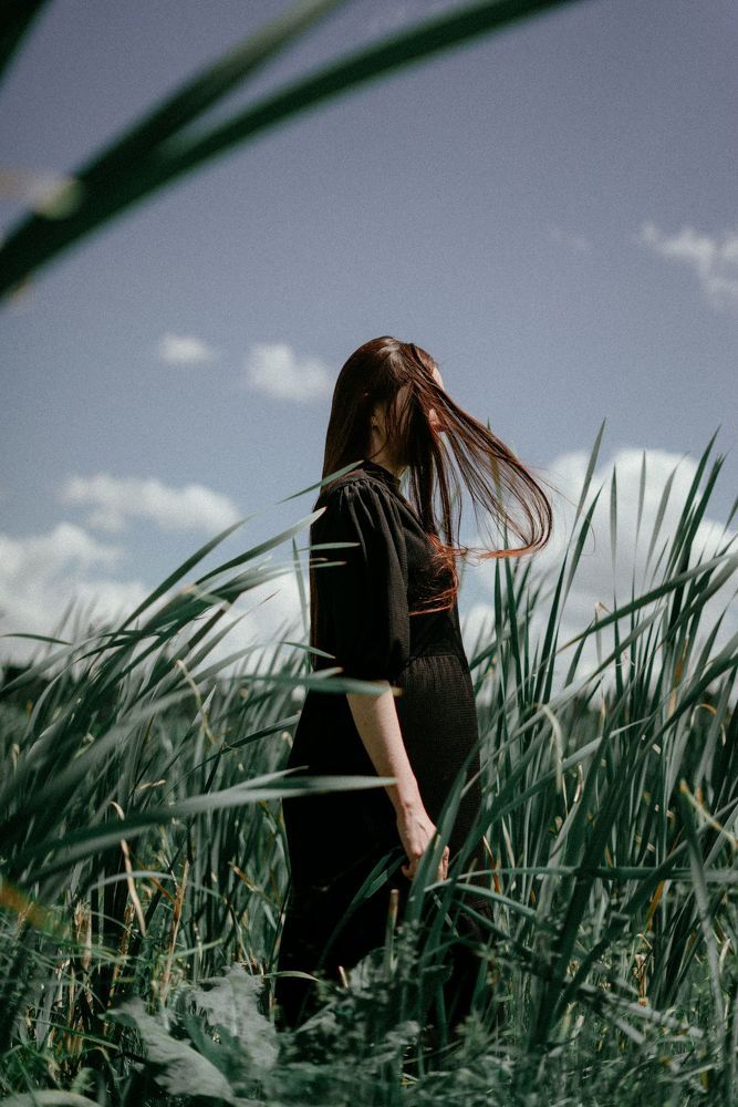 Cattail