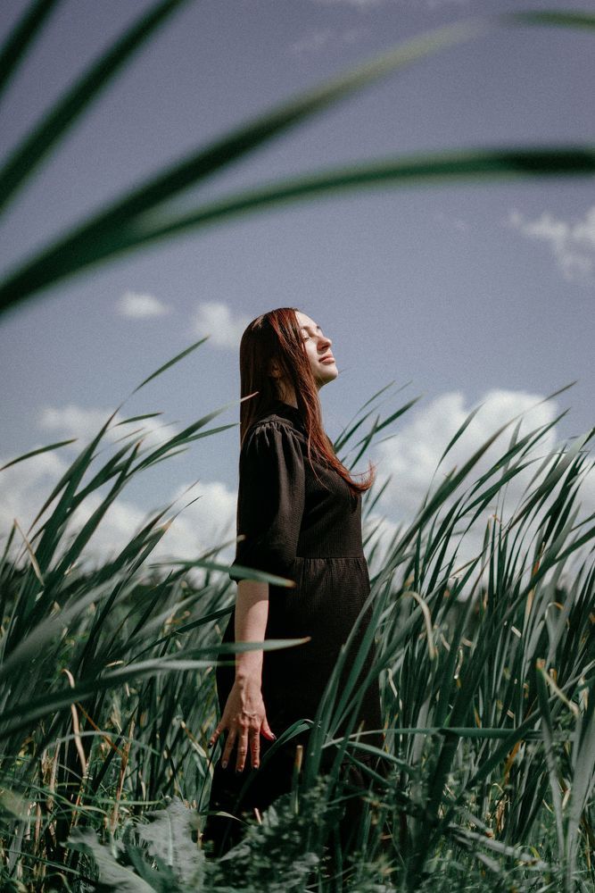 Cattail