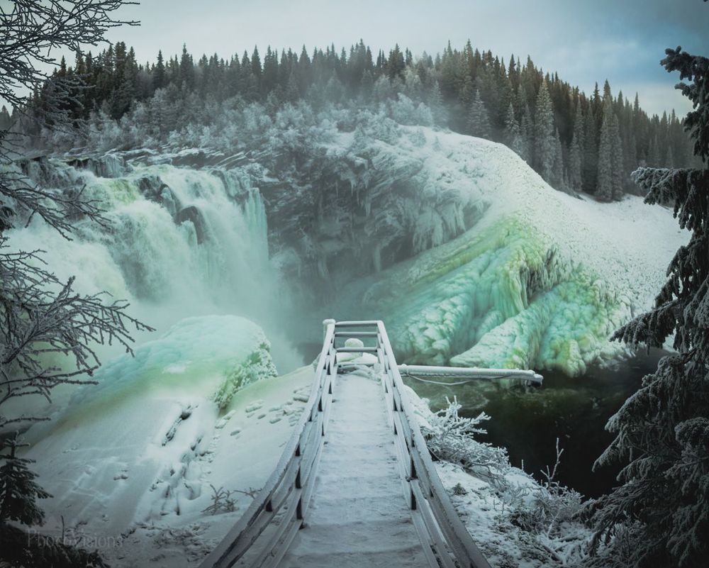 Freezing World