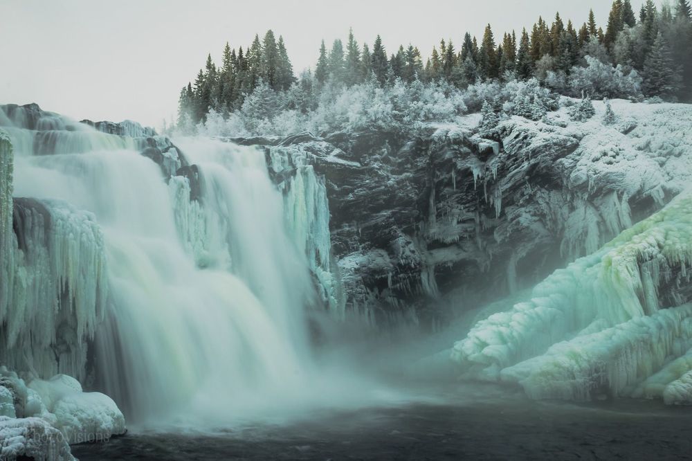 Freezing World