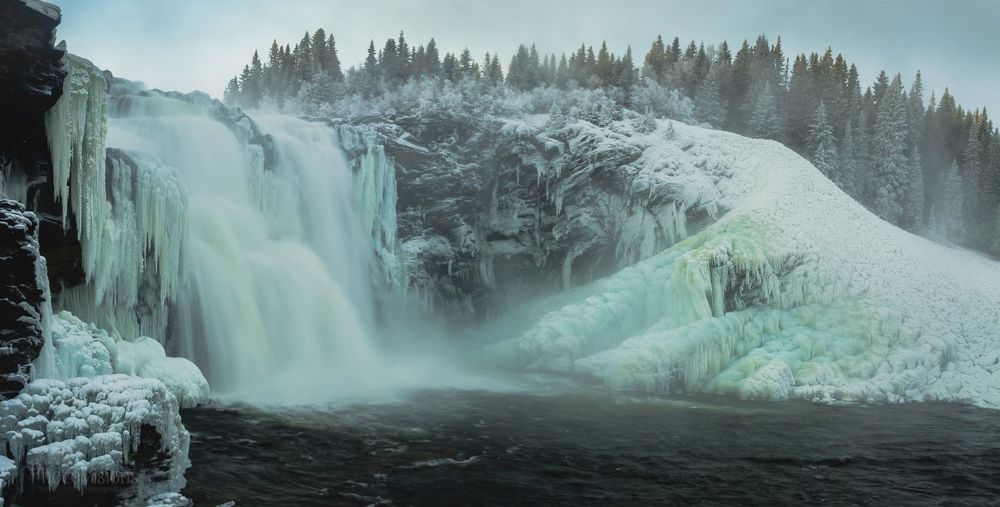 Freezing World