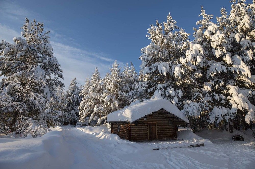 Суеват пауль