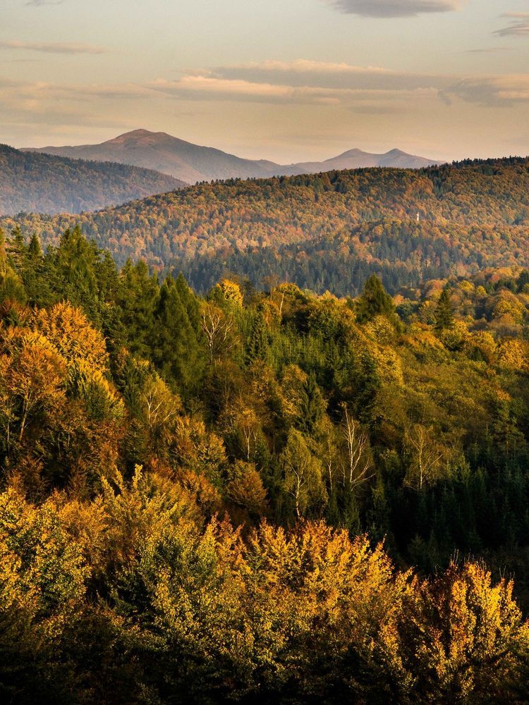 Slavom&iacute;r Gajdo&scaron; - Landscape portfolio