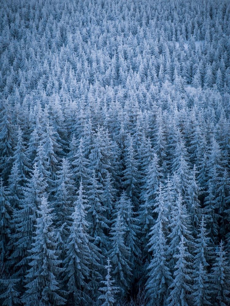 Slavom&iacute;r Gajdo&scaron; - Landscape portfolio