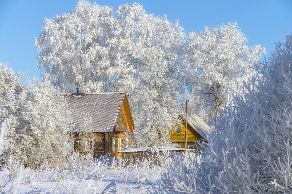 Зима в деревне.