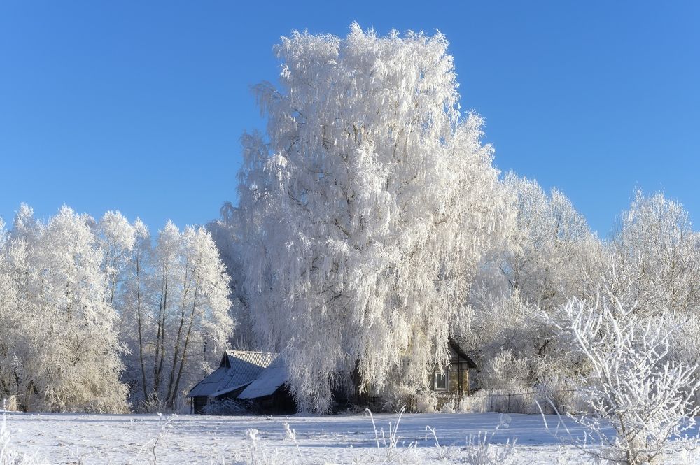 Зима в деревне.