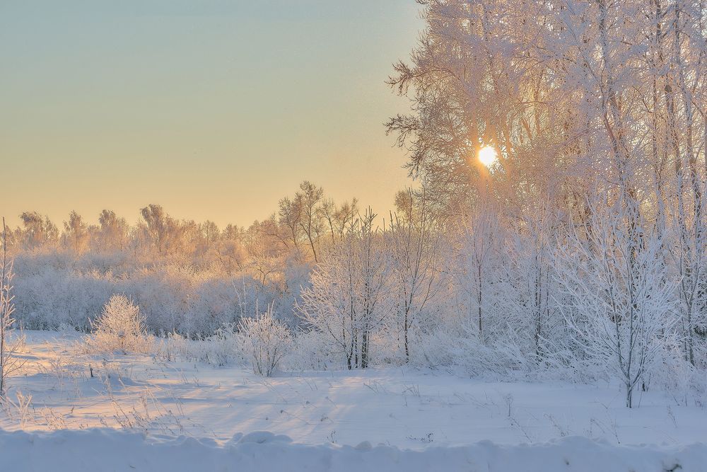 Photo 2083531