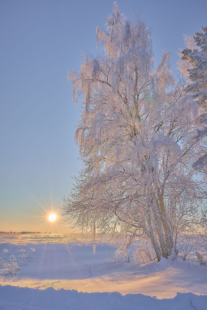 Photo 2083533