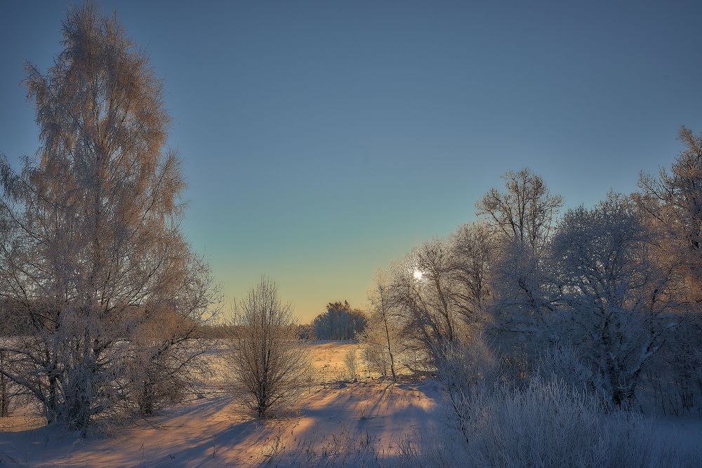 Photo 2083536