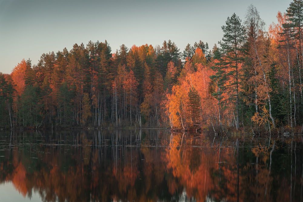 Портфолио
