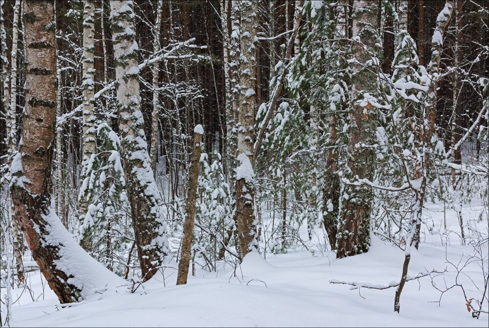 ***