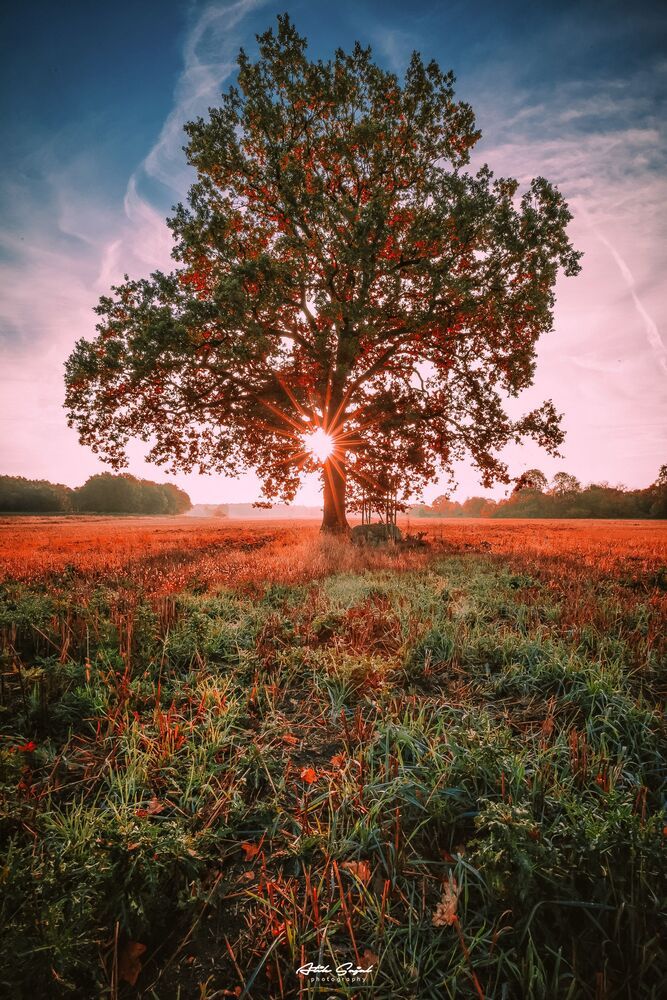 The Core Of Beauty Is Simplicity