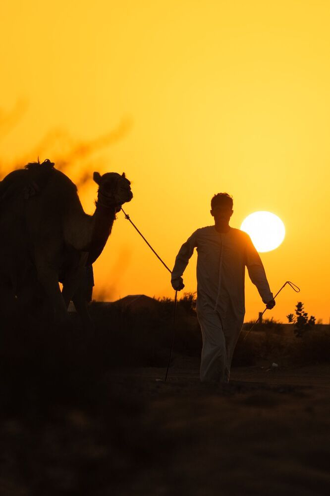 Daily Desert Life