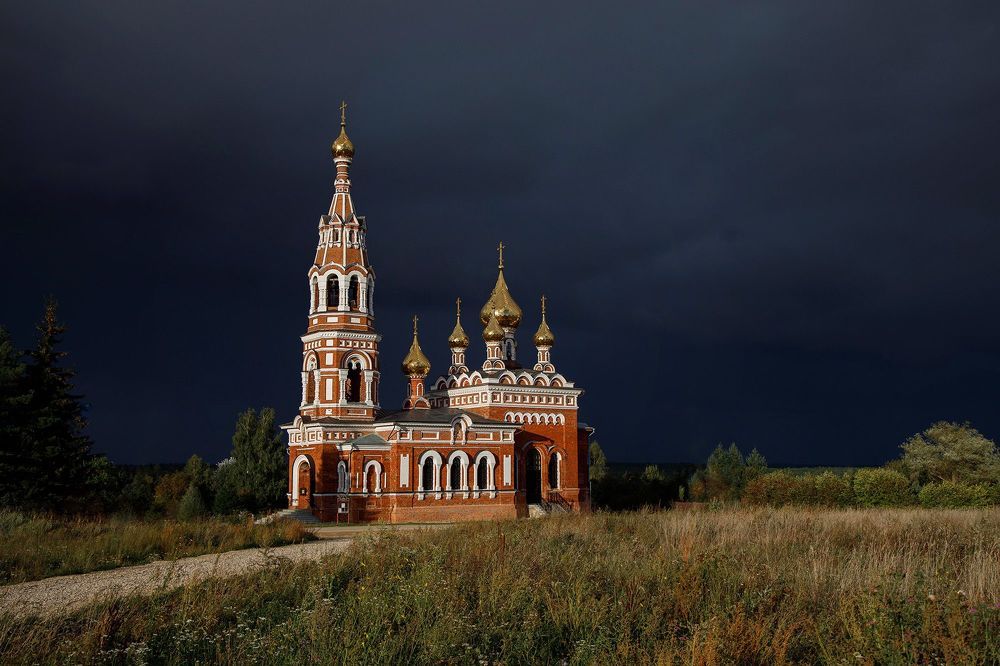 Пейзажи, животные, портрет