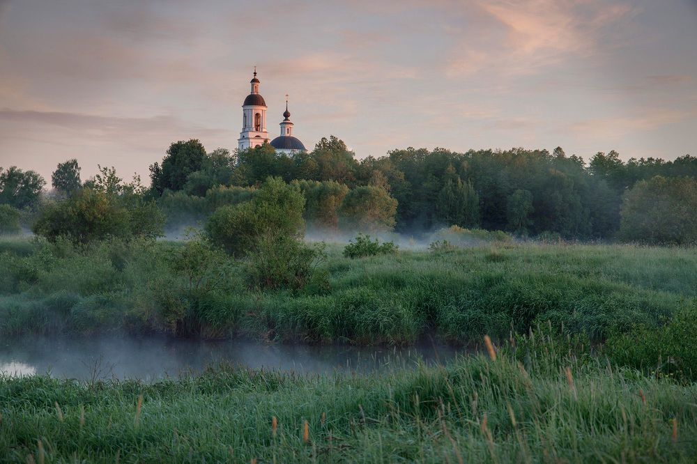 Пейзажи, животные, портрет