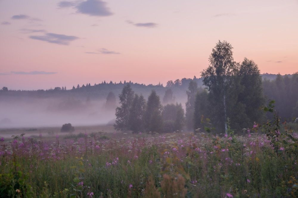 Пейзажи, животные, портрет