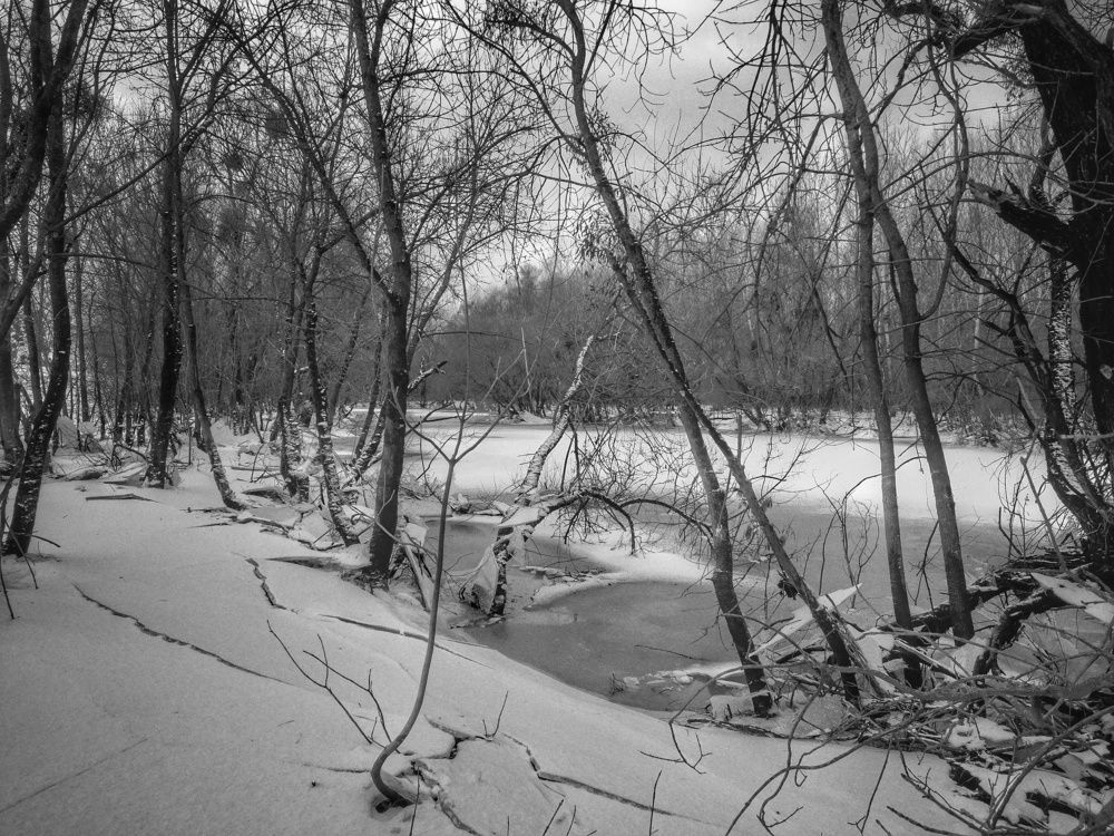 Winter