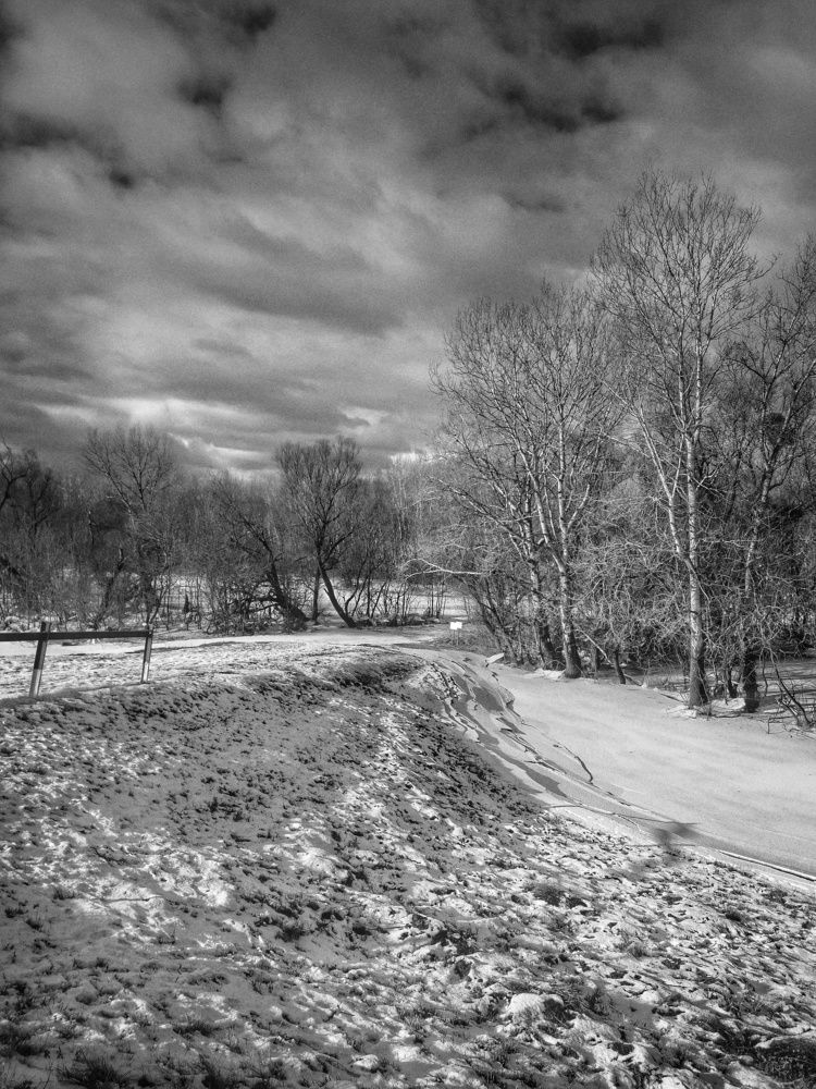 Winter
