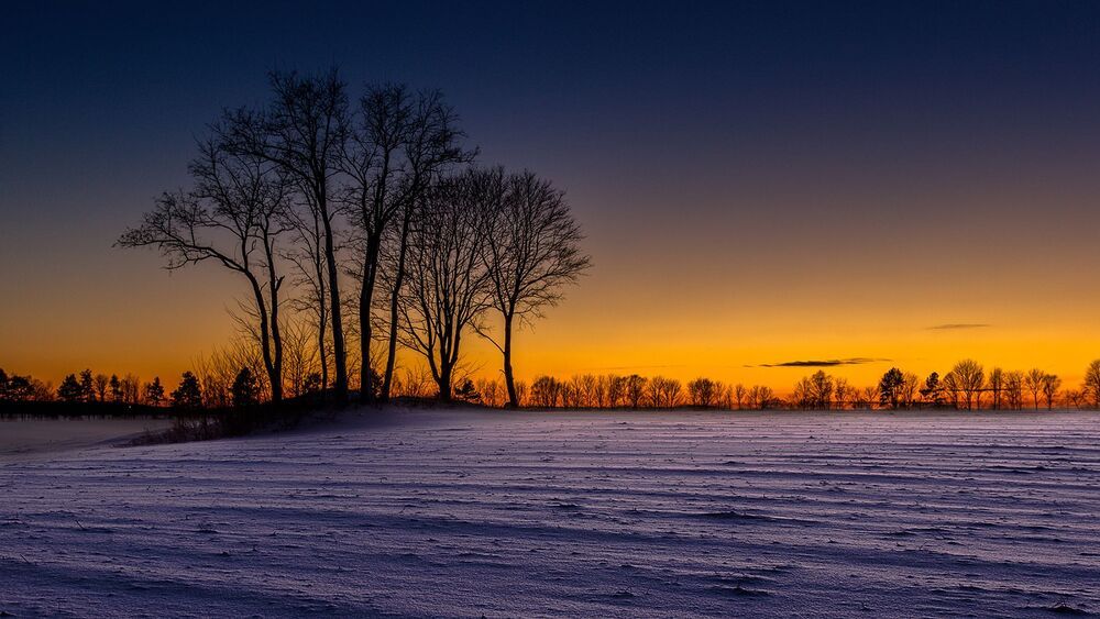 Landscape