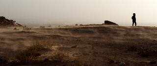 С ног не сдувает, но сильно дует