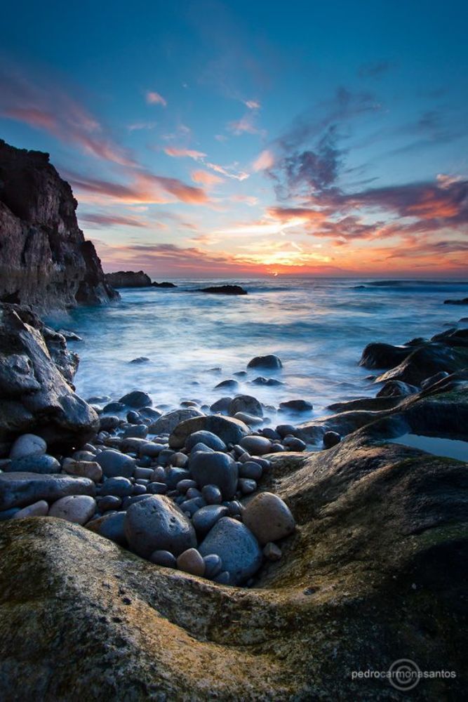 "The nest", photographed at Sintra Cascais natural park; Visit me at (Посетите меня на)
http://www.pedrocarmonasantos.com/