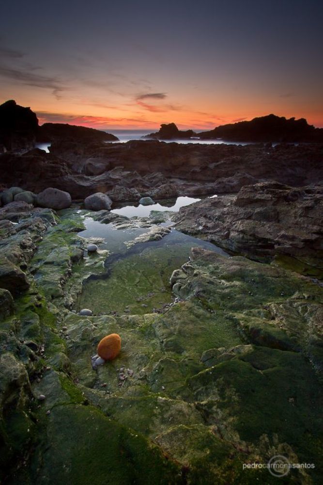 "Wish you were here", photographed at Sintra Cascais natural park; Visit me at (Посетите меня на)
http://www.pedrocarmonasantos.com/