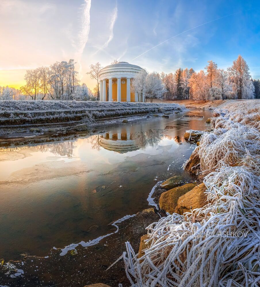 Иней в парке Павловск