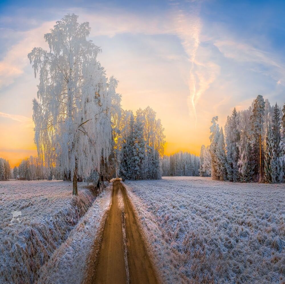 Иней в парке Павловск