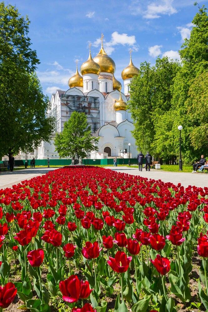 Ярославль