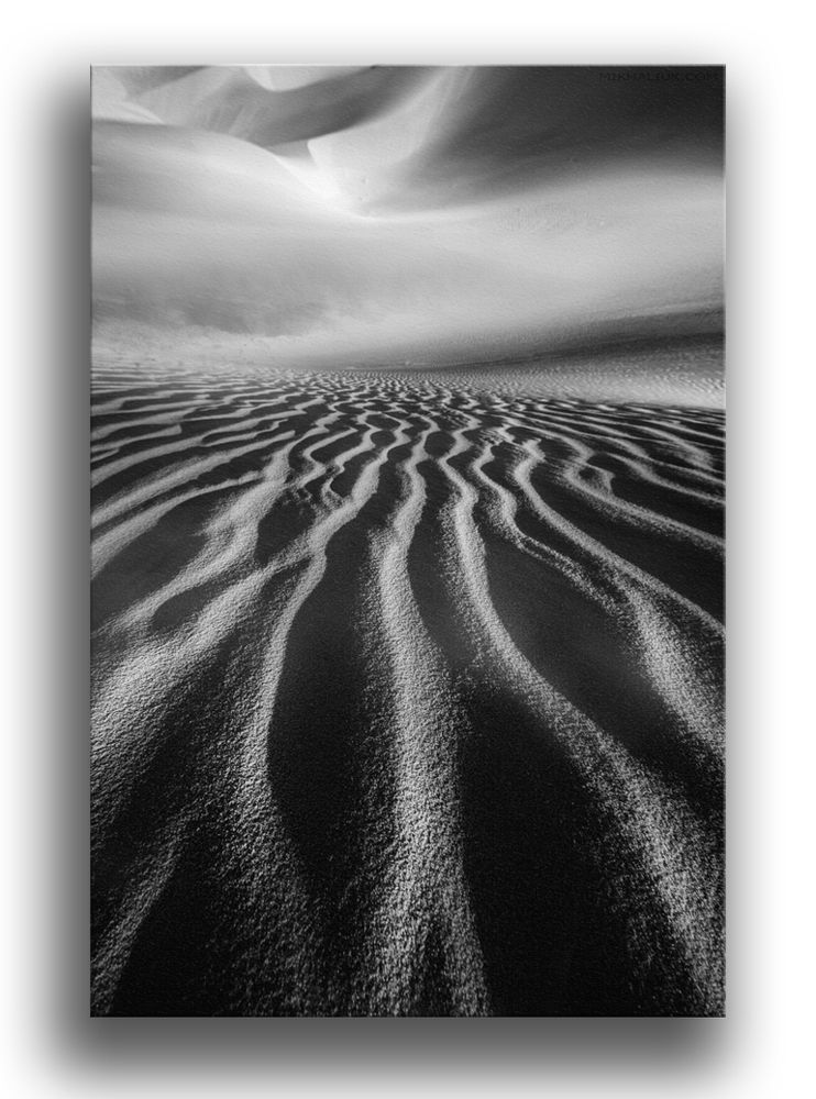 * QI SPACE * B&W photo Exhibition